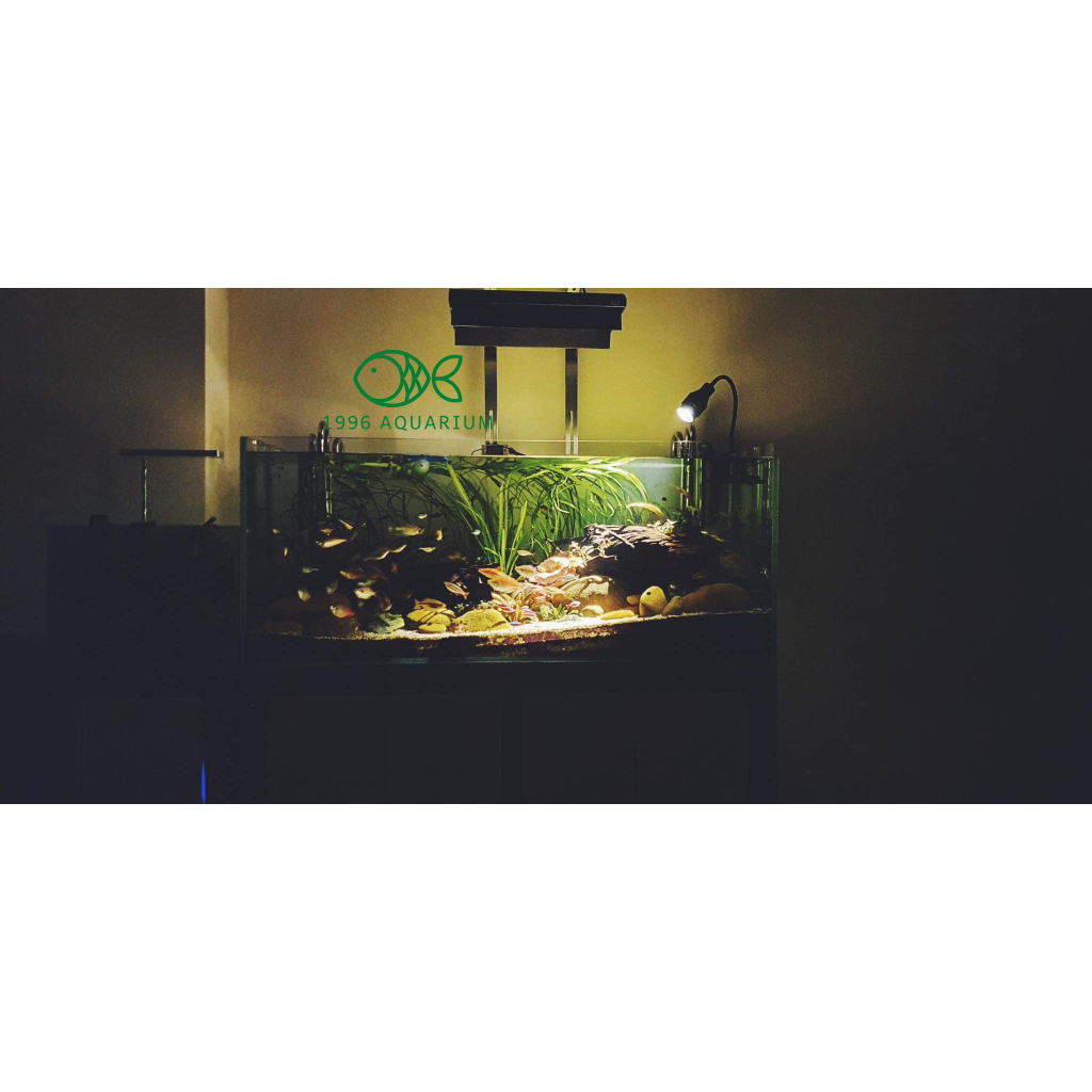 Đèn rọi Spot Light chỉnh góc 3 chế độ màu 15W