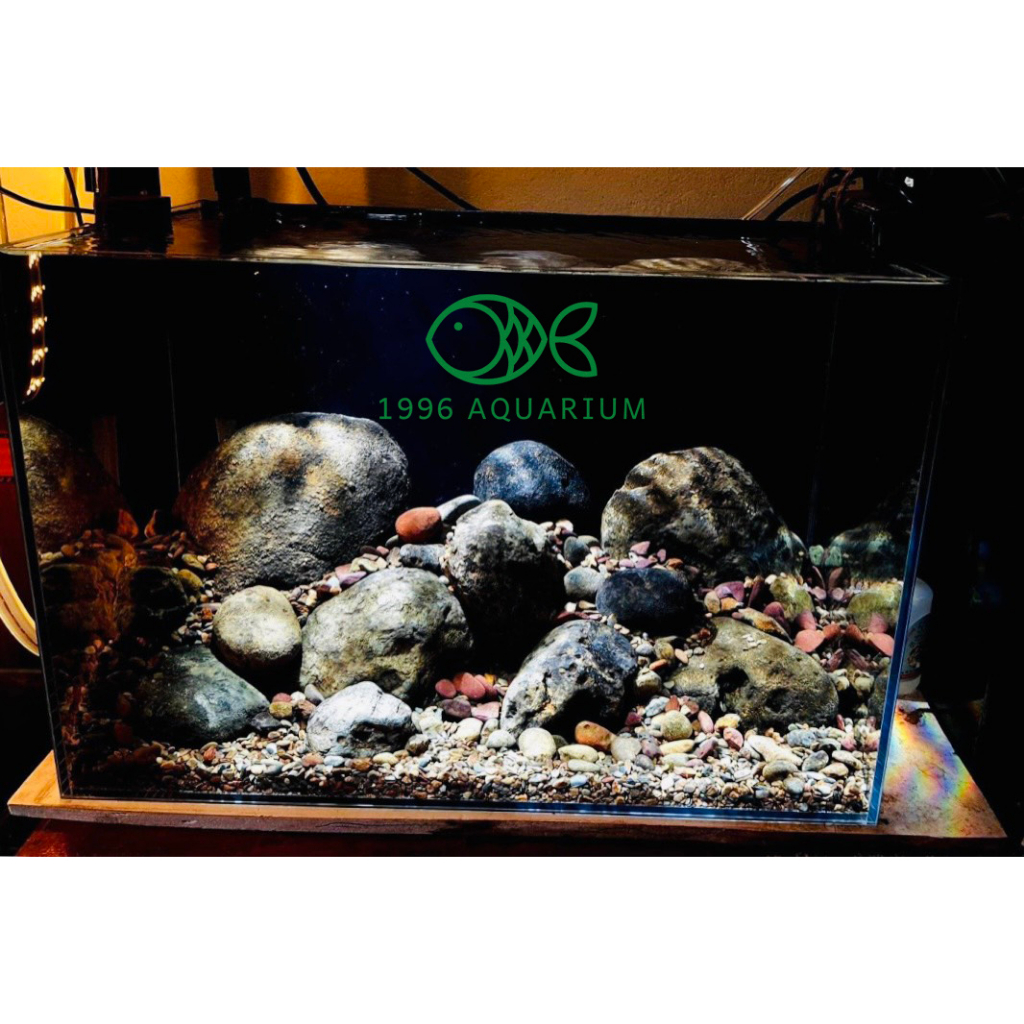 Đèn rọi Spot Light chỉnh góc 3 chế độ màu 15W