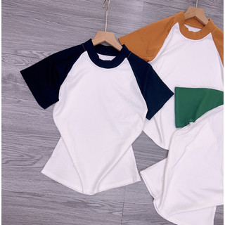 Áo thun nữ dáng ôm phối tay phom dài ( Mã Raglan dưới 55kg )