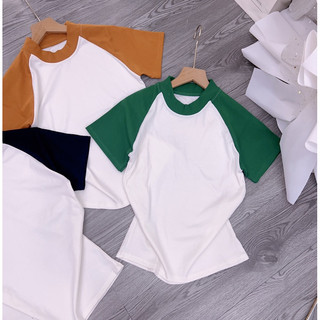 Áo thun nữ dáng ôm phối tay phom dài ( Mã Raglan dưới 55kg )