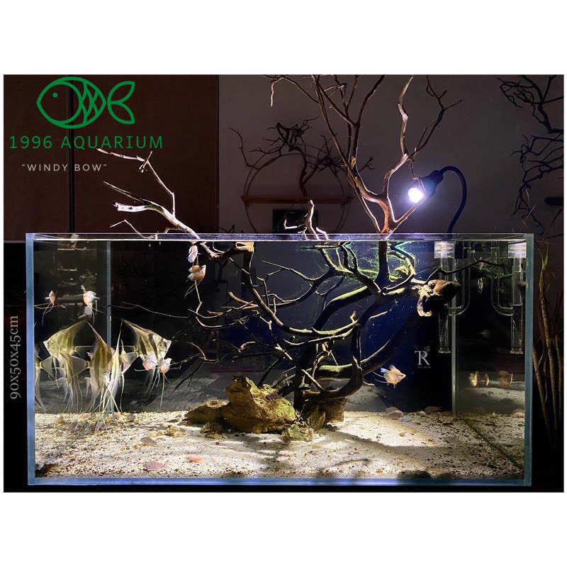 Đèn rọi Spot Light chỉnh góc 3 chế độ màu 15W