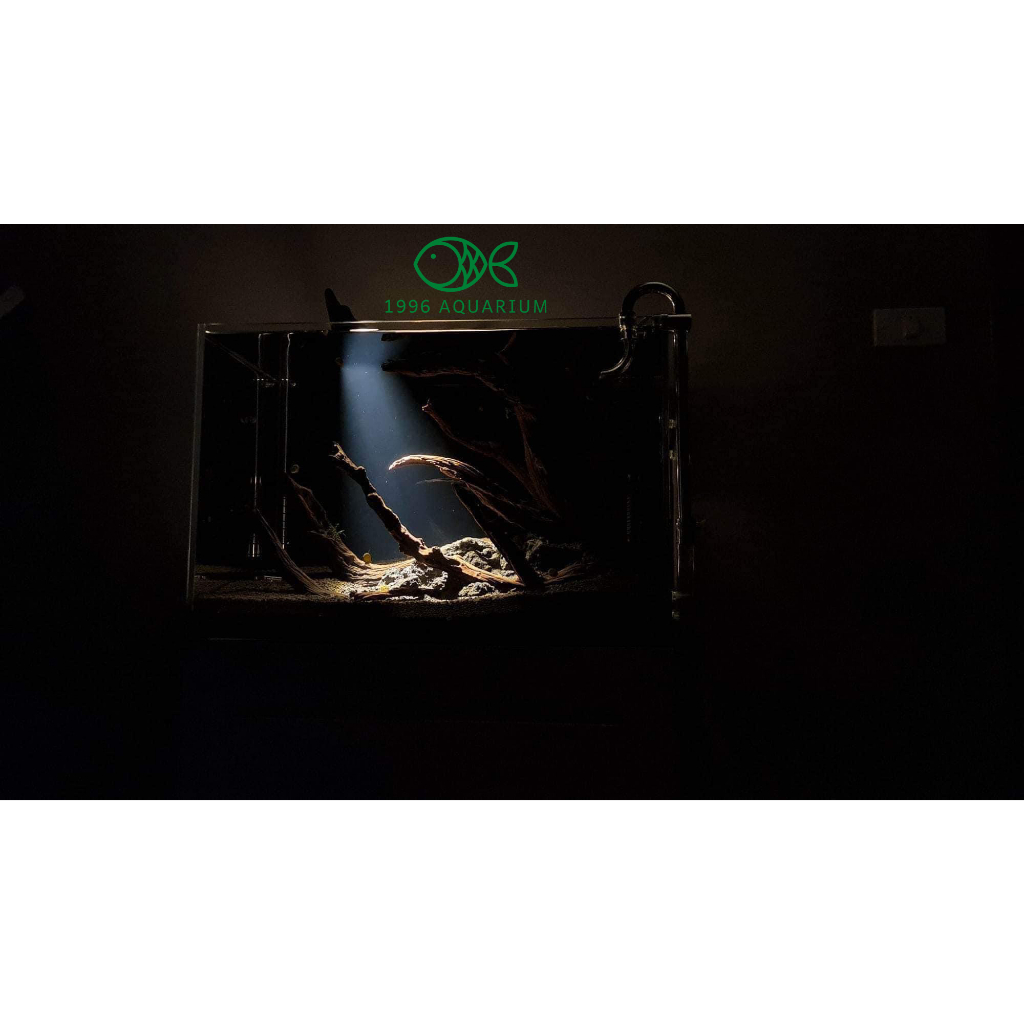 Đèn rọi Spot Light chỉnh góc 3 chế độ màu 15W