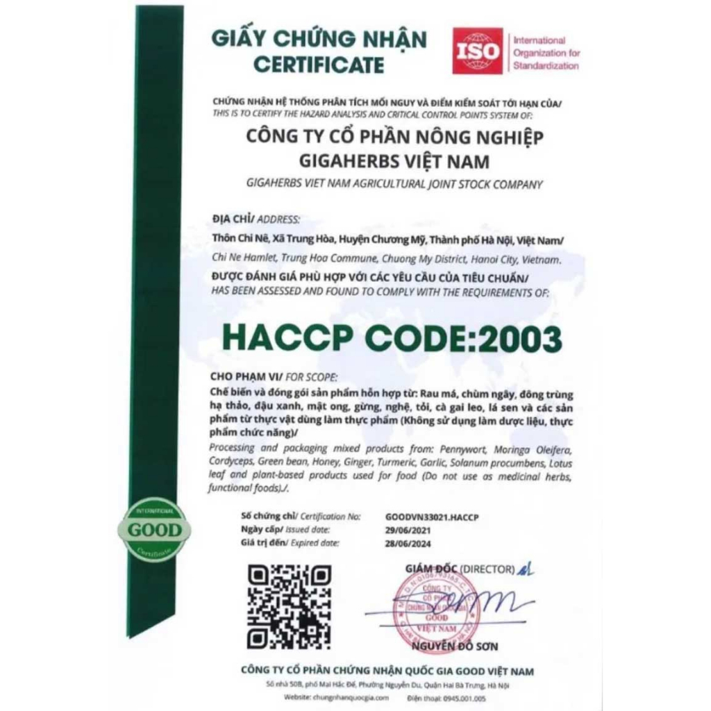 Trà túi lọc rau má, cà gai leo Giga, dùng hỗ trợ cho người nóng trong, giải độc gan, mát gan, men gan cao