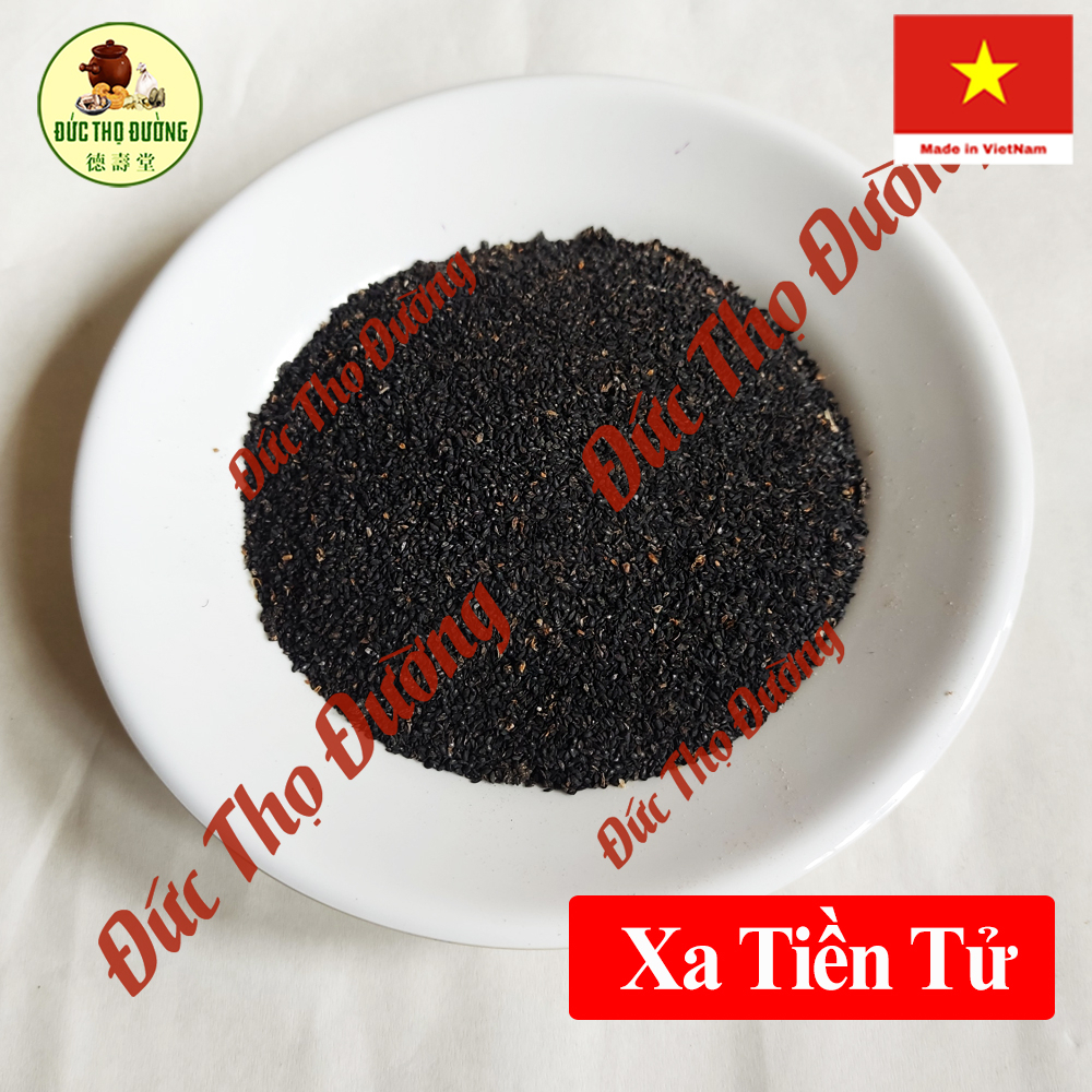 Xa Tiền Tử - Bào chế - Túi 100g