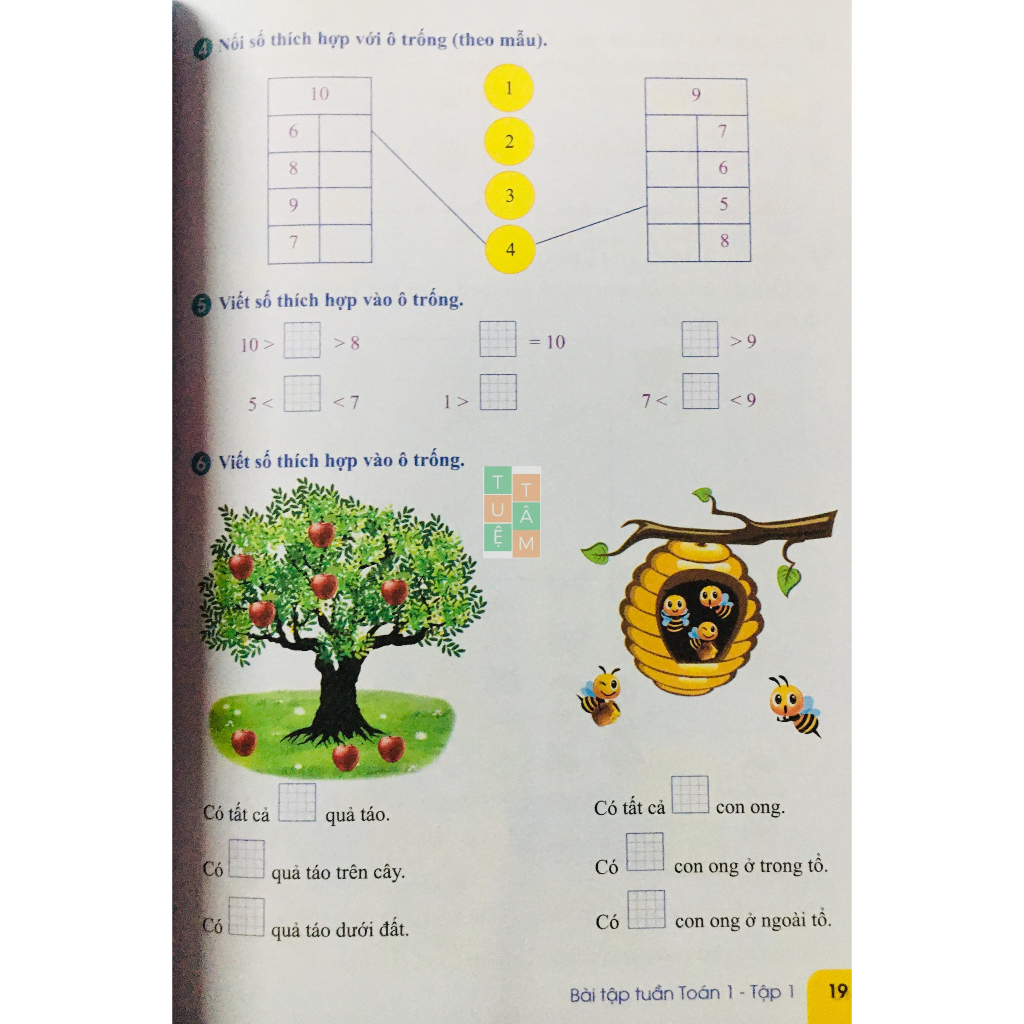 Sách - Bài tập tuần Toán 1