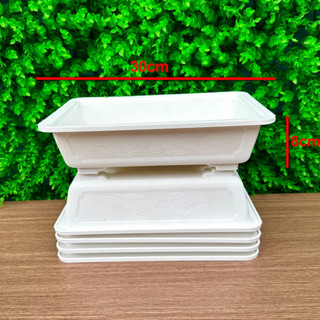 Combo 05 Chậu Bonsai Chữ Nhật Trắng 30 x H08x 20cm - (CHẬU NHỰA Á ĐÔNG) Chậu Trồng Cây Cao Cấp