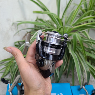 Máy câu đứng Daiwa Strikeforce chính hãng daiwa chuyên lure lóc