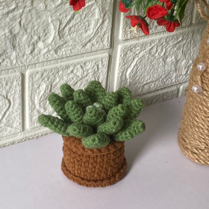 Chậu sen đá bằng len nhỏ nhắn đáng yêu handmade