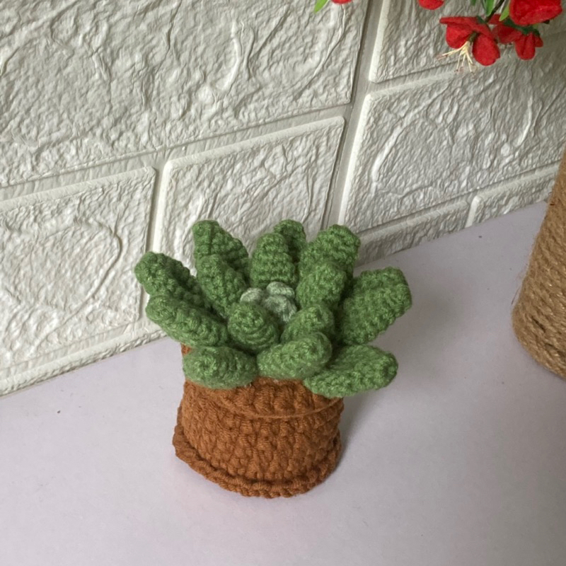 Chậu sen đá bằng len nhỏ nhắn đáng yêu handmade