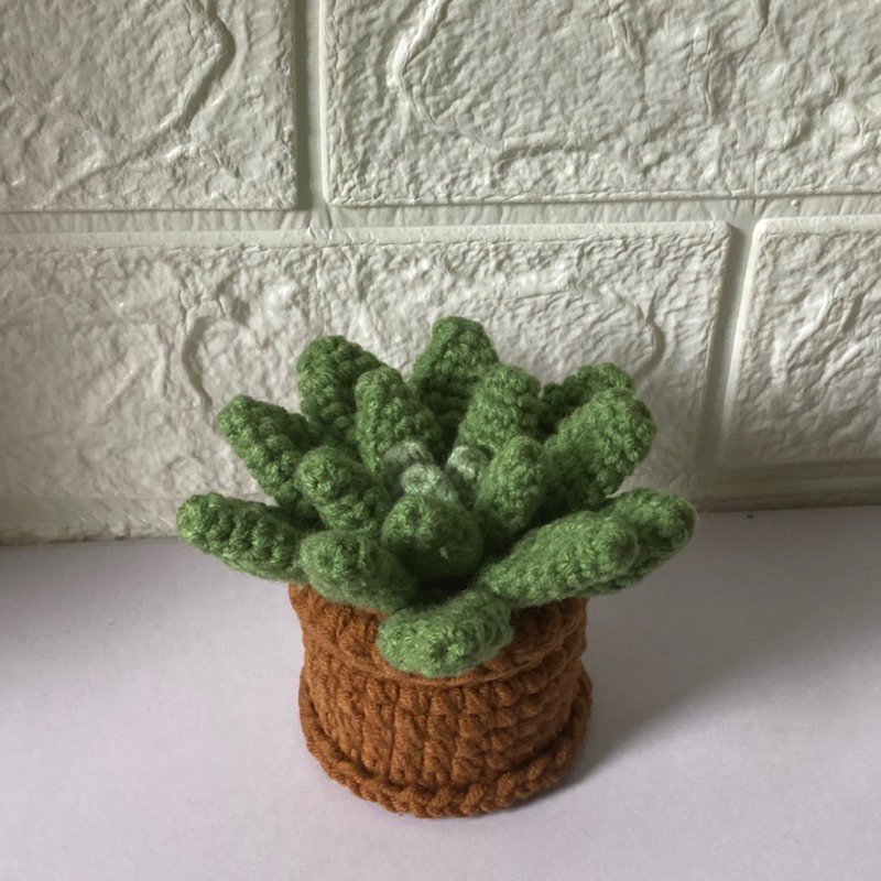 Chậu sen đá bằng len nhỏ nhắn đáng yêu handmade