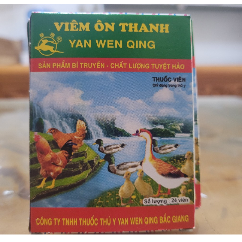 Viêm ôn thanh, vỉ 24 viên
