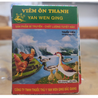 Viêm ôn thanh, vỉ 24 viên