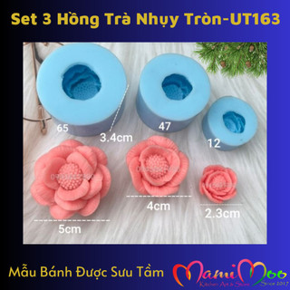 Khuôn silicone 4d - ut163 - set hoa hồng trà tg124
