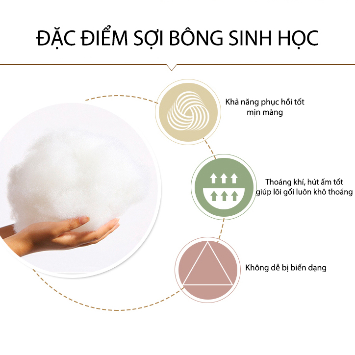 Ruột Gối bông Kagoo 48x74cm chống xẹp lún mềm mại - Ruột gối Tiêu Chuẩn Khách Sạn Homestay, Resort