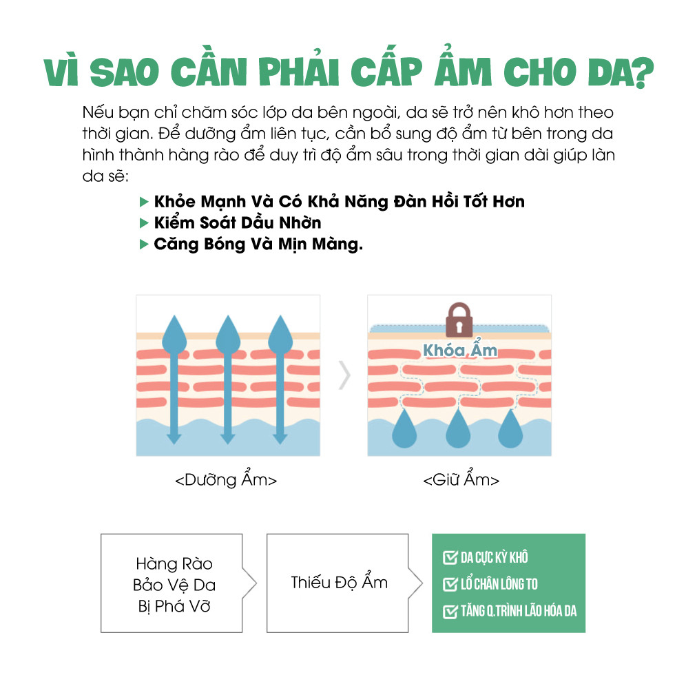 Serum Rau Củ Xanh Phục Hồi Da Graymelin Green Food 50ml