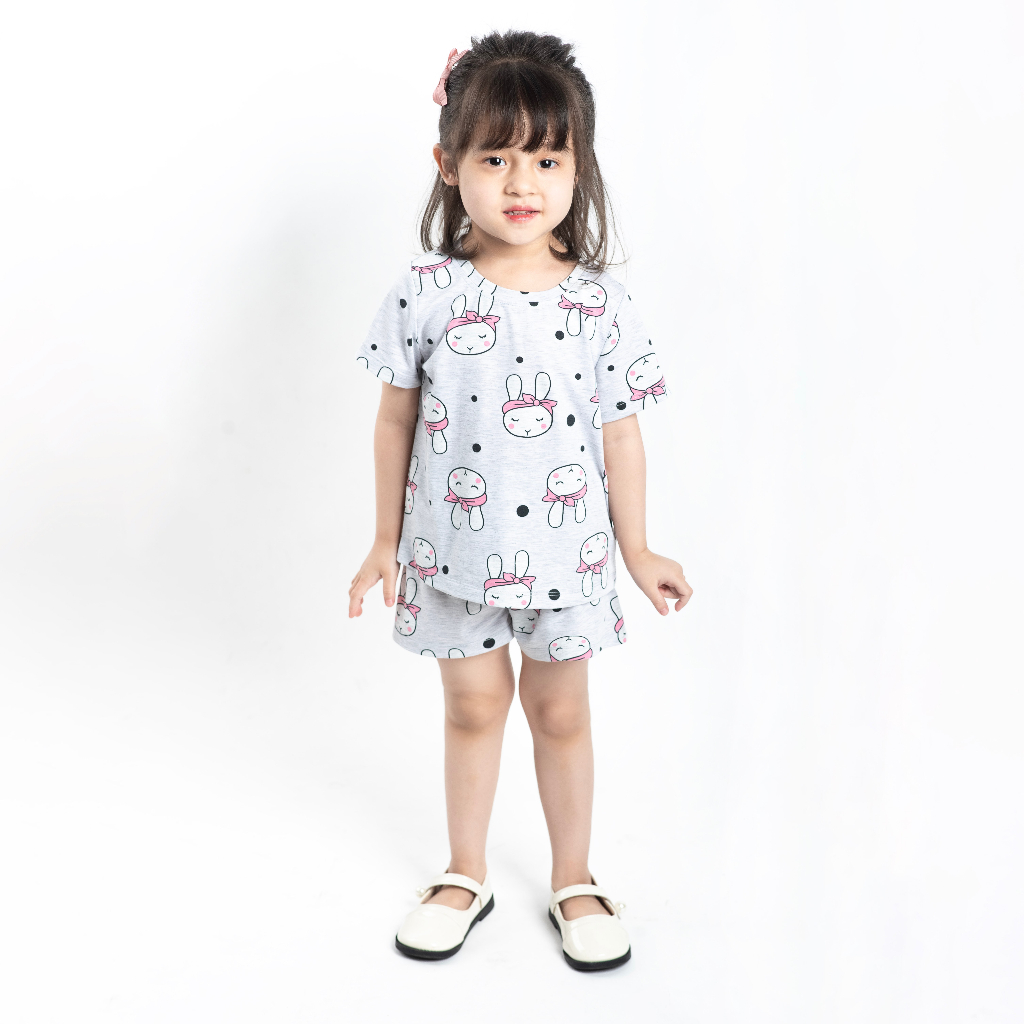 Đồ bộ bé gái hoa nền hồng , đồ bộ trẻ em chất cotton xinh xắn từ 2,3,4,5,6T MonBabies BCTG23S010