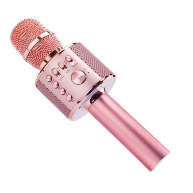 Mic Hát Karaoke Cầm Tay Không Dây - Micro Karaoke Bluetooth Bảo Hành 12 Tháng | BigBuy360 - bigbuy360.vn