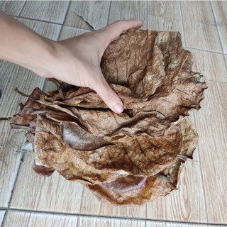 Cát trắng thủy sinh bịch 1000 gram ( 1kg )
