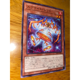 Splight red - pote-jp006 - common
