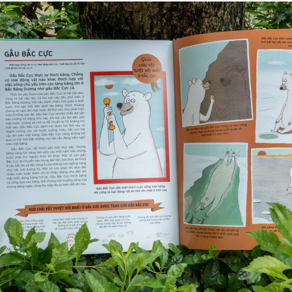 Sách - Động vật có tầm ảnh hưởng - Bách khoa tri thức về các loài động vật cho trẻ từ 6 tuổi - Đinh Tị Books