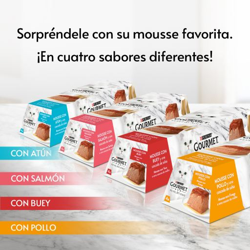 Pate Đức cho mèo Revelations GOURMET sang trọng cao cấp cho Mèo - Purina Mousse Garé Pet Shop