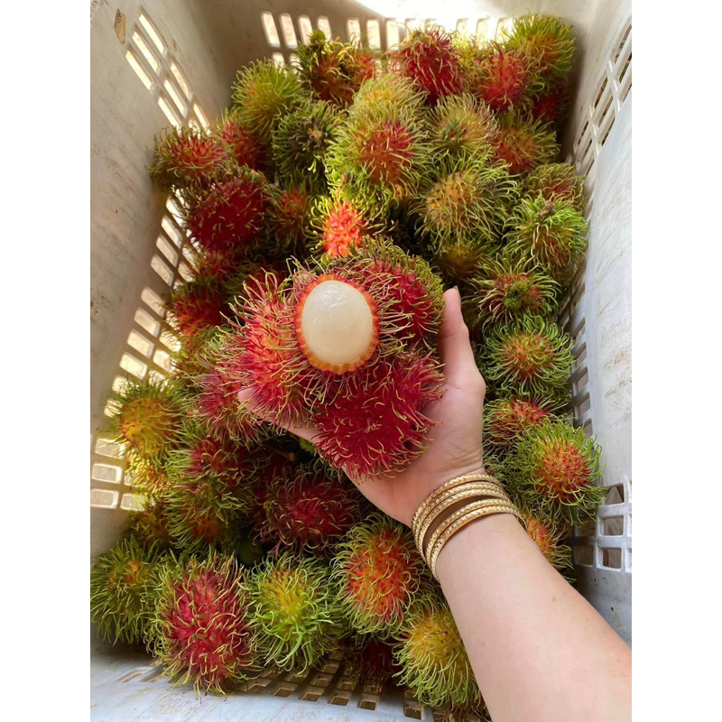 COMBO 3KG CHÔM CHÔM THÁI