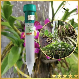 Keiki Duy Xanh, ki duy xanh kích Mầm Và Chồi Phong Lan Dạng Phun tuýp 15ml