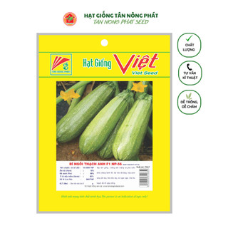 Hạt giống bí ngòi thạch anh np 56 1gr