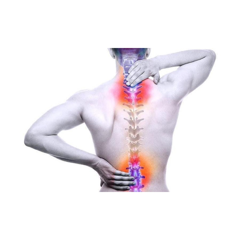 Sụn Vi Cá Mập Nga Hộp 180v 🦈🦈🦈