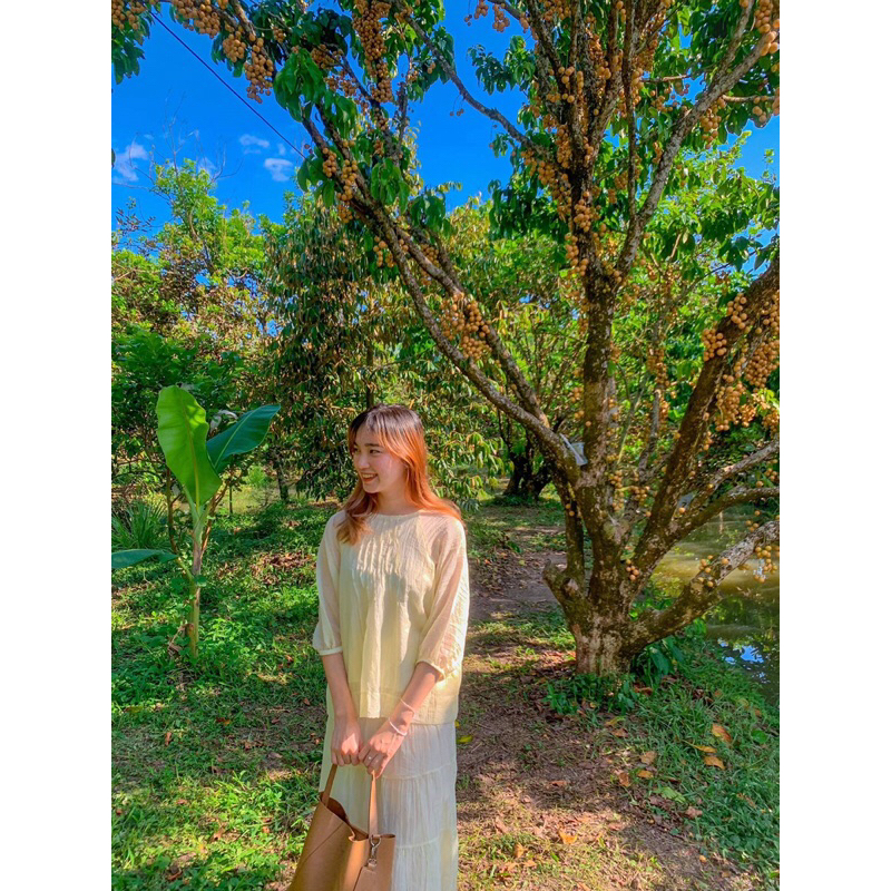 Pass set công chúa