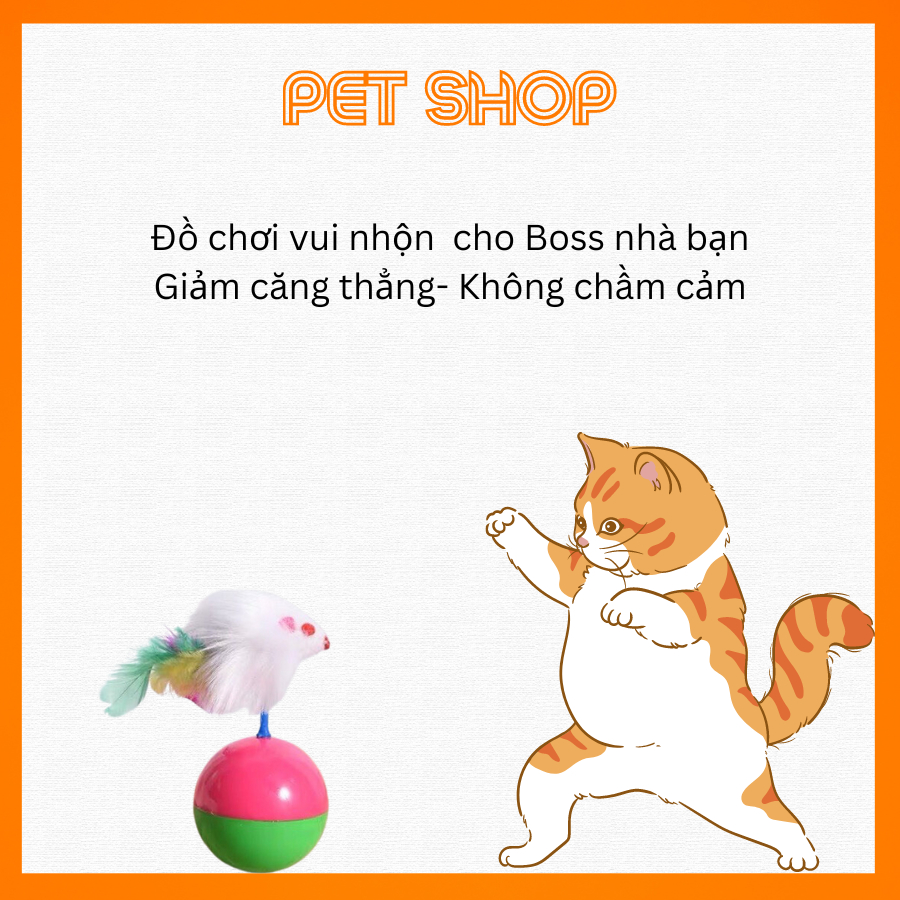 Quả bóng đồ chơi cho mèo cưng Vui Nhộn Con Chim Trên Trái Banh