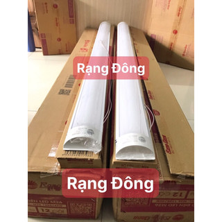 Đèn bán nguyệt m26 40w rạng đông