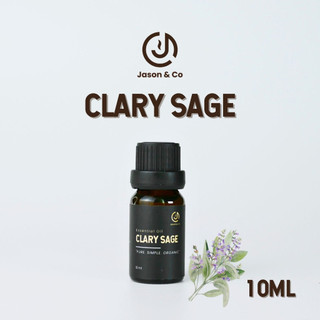 Tinh dầu xô thơm jason&co 10ml - dòng tinh dầu cao cấp giúp xông thơm phòng, khử mùi, hỗ trợ thư giãn, giảm stress