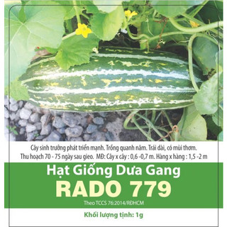 Hạt giống dưa gang rado 779