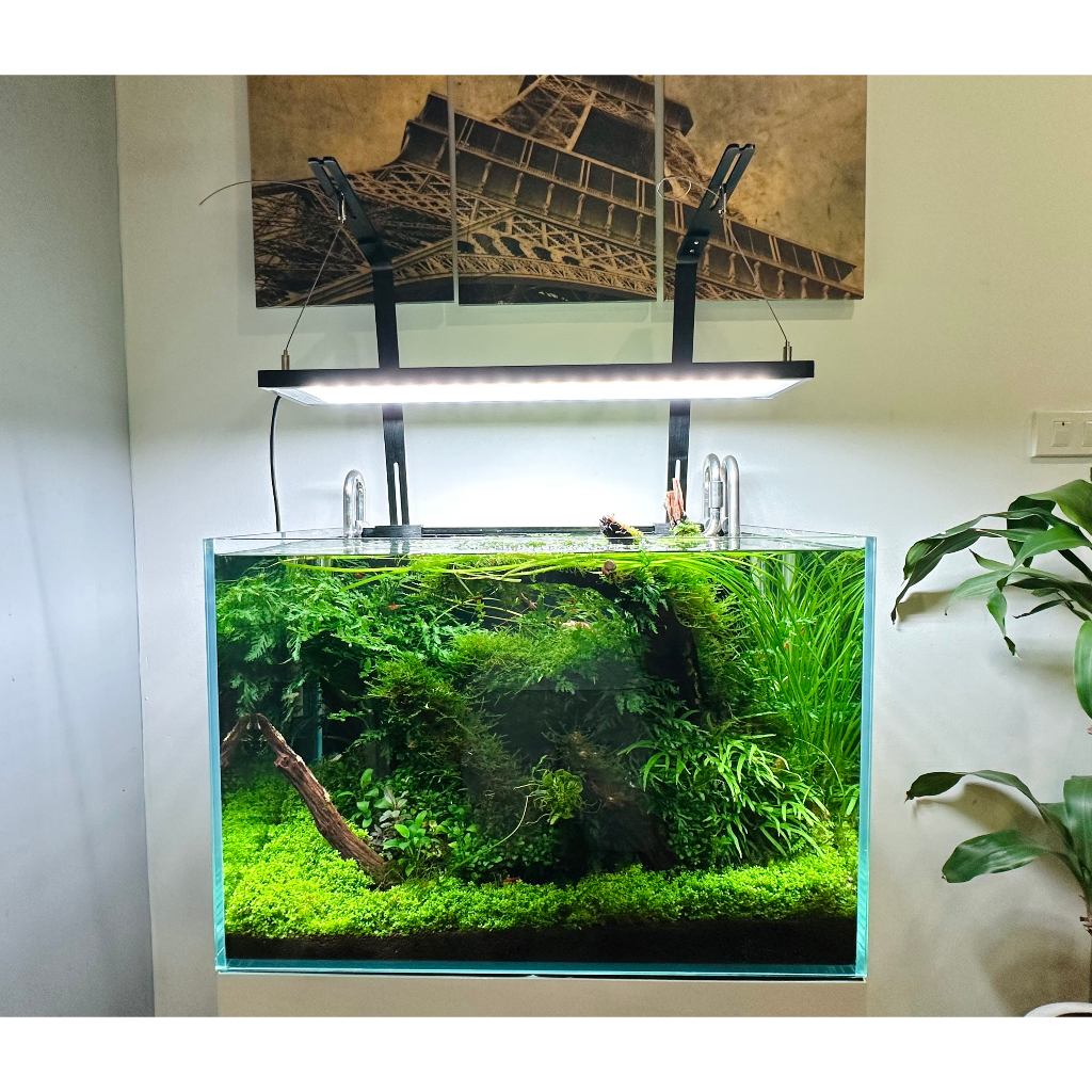 Bộ kit treo đèn Wrgb2