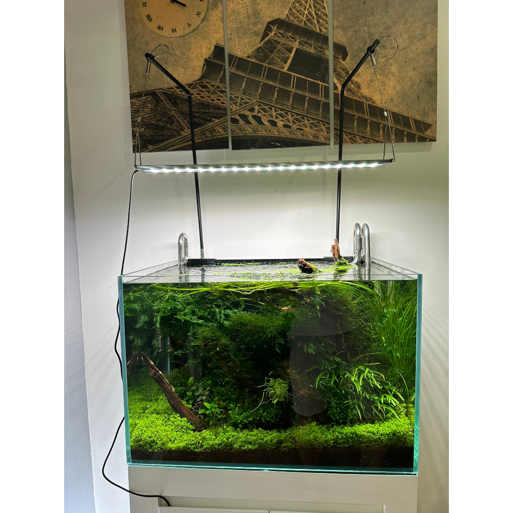 Kit treo đèn đa năng chữ V