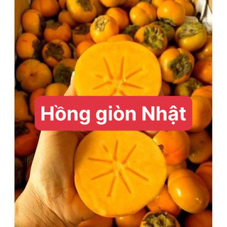 Cây hồng giòn nhật không hạt