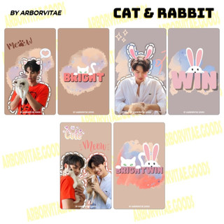Set card "cat and rabbit" - brightwin
