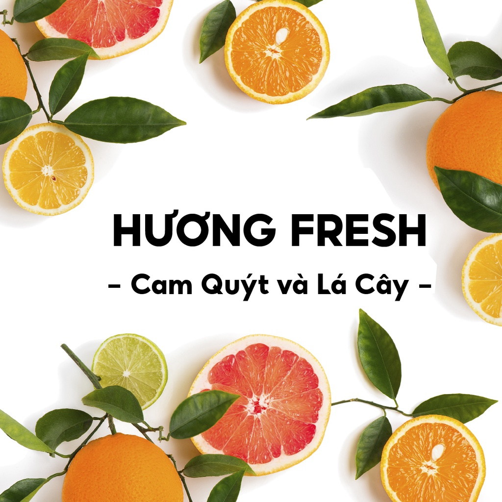 Combo đôi Sáp khử mùi Fresh 85g + sữa tắm Old Spice Fresh 532ml