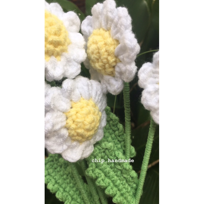 Hoa cúc hoạ mi handmade bằng len siu xinh decor nhà cửa giá rẻ| chip.handmade