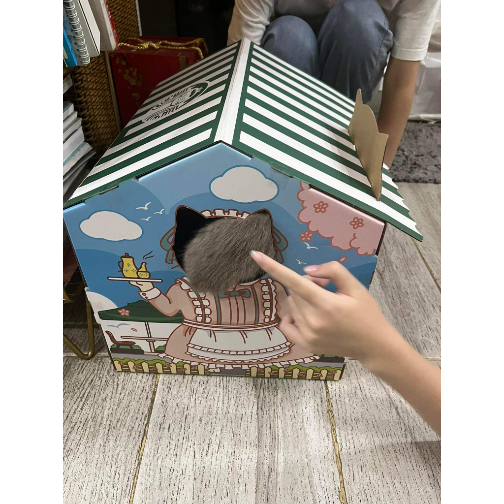 Nhà cào móng cho mèo bằng giấy bìa carton xả stress cho mèo