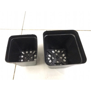 1 chậu nhựa vuông đen dẻo