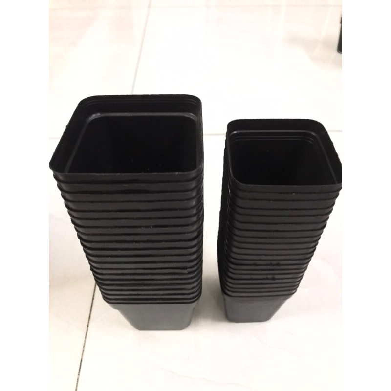 10 chậu vuông đen dẻo