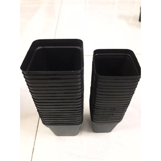 10 chậu vuông đen dẻo
