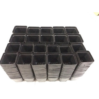10 chậu vuông đen dẻo