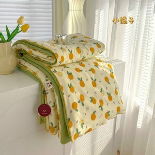 Chăn Cotton Đũi Hàn Quốc Nhập Khẩu