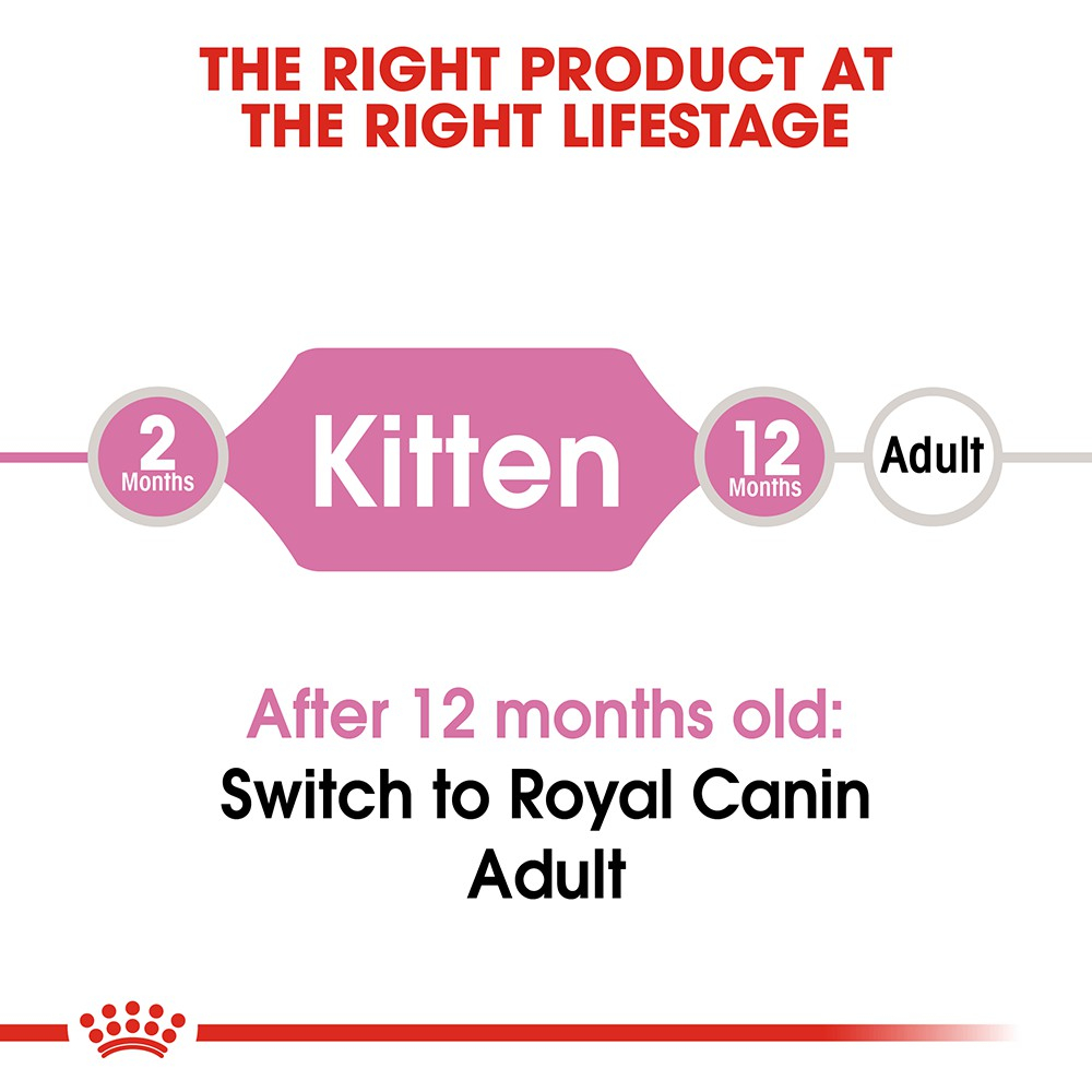 Hạt mèo con Royal Canin Kitten Thức ăn cho mèo con 400g Petemo Pet Shop