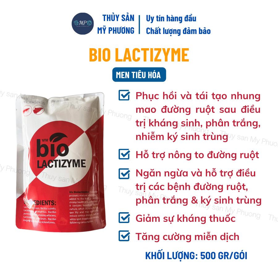 Men tiêu hóa enzyme nong to tái tạo đường ruột Bio Lactizyme ngừa phân trắng kích thích ăn lớn nhanh