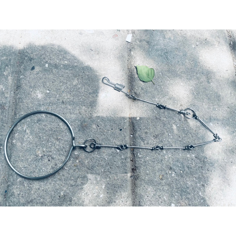 Dây xích chân cho vẹt kiểu thái sợi 1.5 li loại mới tặng kèm vòng số 8