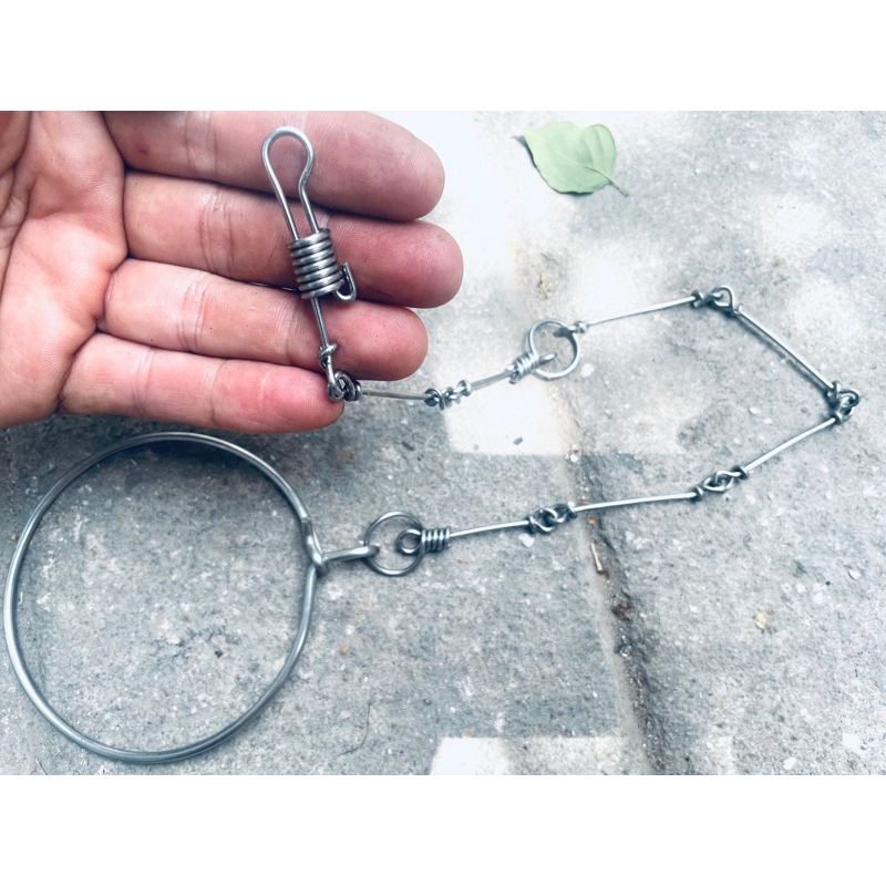 Dây xích chân cho vẹt kiểu thái sợi 1.5 li loại mới tặng kèm vòng số 8